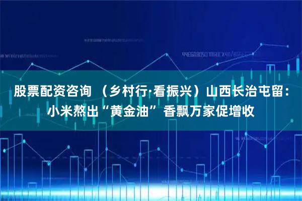 股票配资咨询 （乡村行·看振兴）山西长治屯留：小米熬出“黄金油” 香飘万家促增收